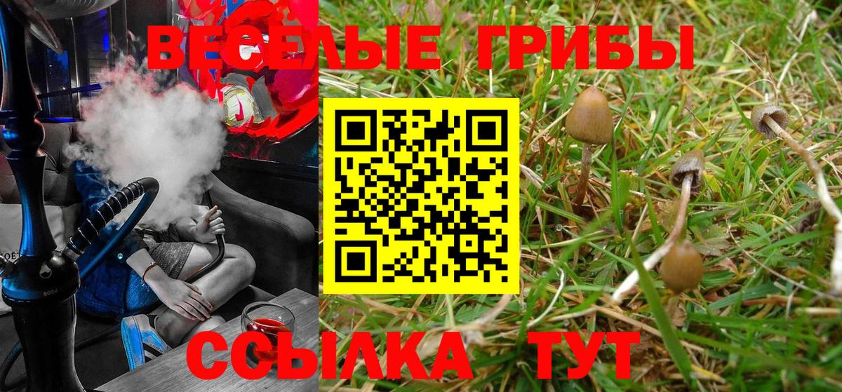 Псилоцибиновые грибы Семёнов