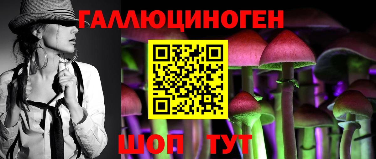Псилоцибиновые грибы GOLDEN TEACHER  Вход с VPN  Семёнов  Псилоцибиновые грибы мухоморы 
